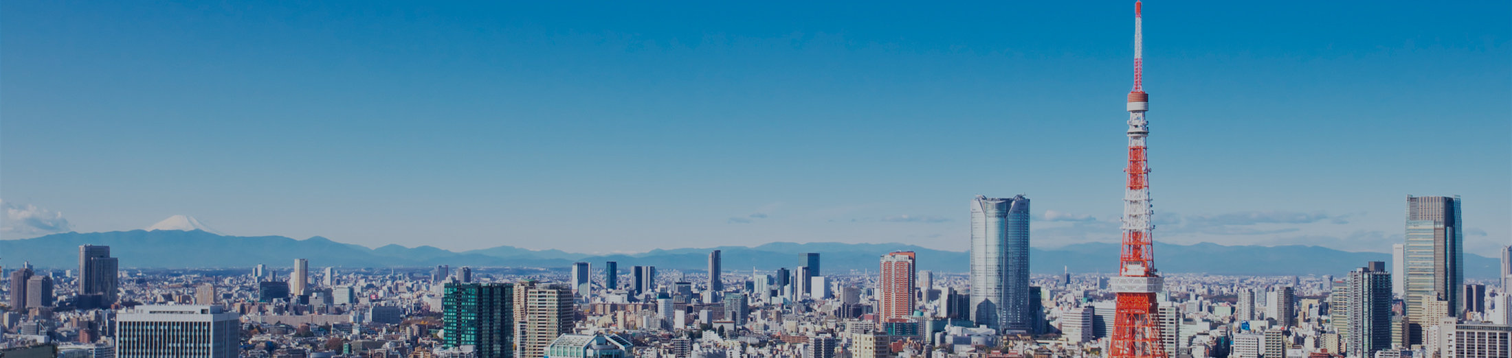 SSW-ийн тогтолцооны талаар