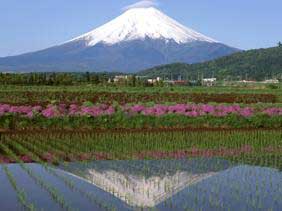 fujisan